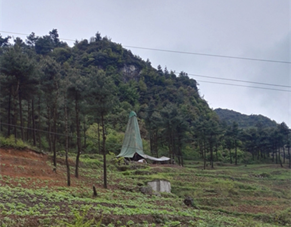 把脈“黔”鋅地，問診開良方